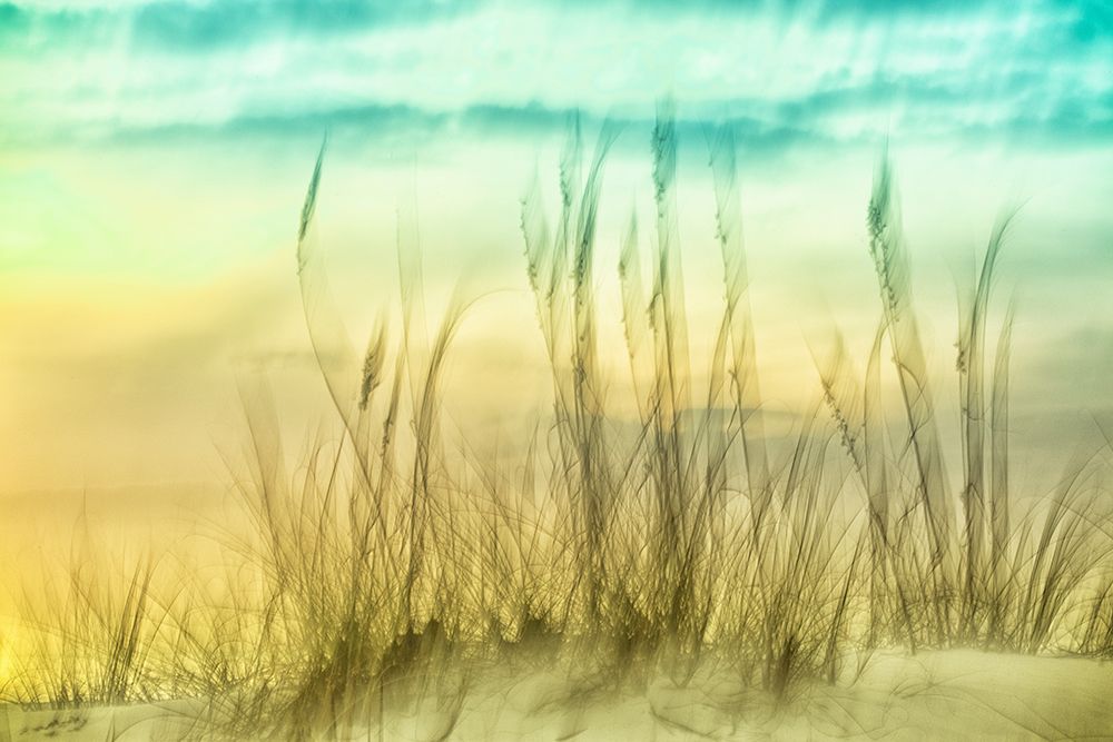 Delightful No. 2 art print by Karin Connolly for $57.95 CAD
