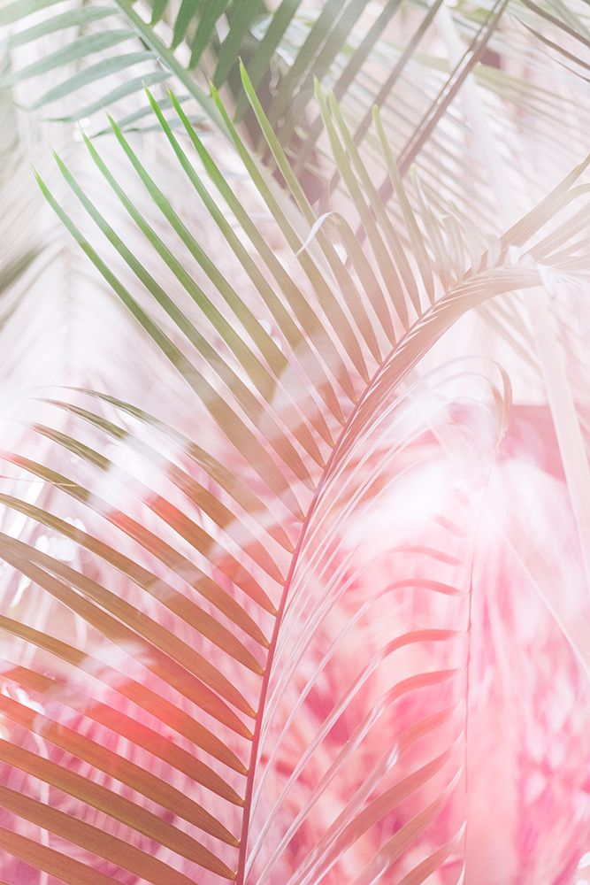 Tropical Foliage No. 1 art print by Lynann Colligan for $57.95 CAD