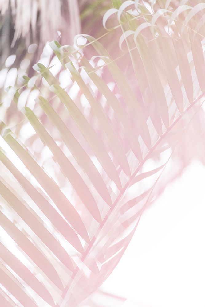 Tropical Foliage No. 2 art print by Lynann Colligan for $57.95 CAD
