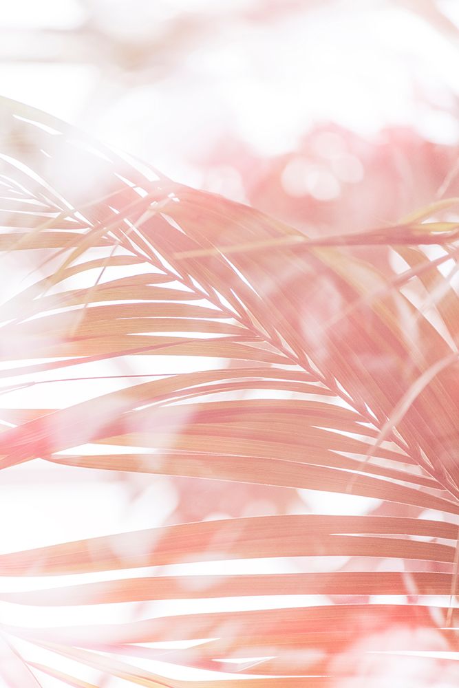 Tropical Foliage No. 3 art print by Lynann Colligan for $57.95 CAD