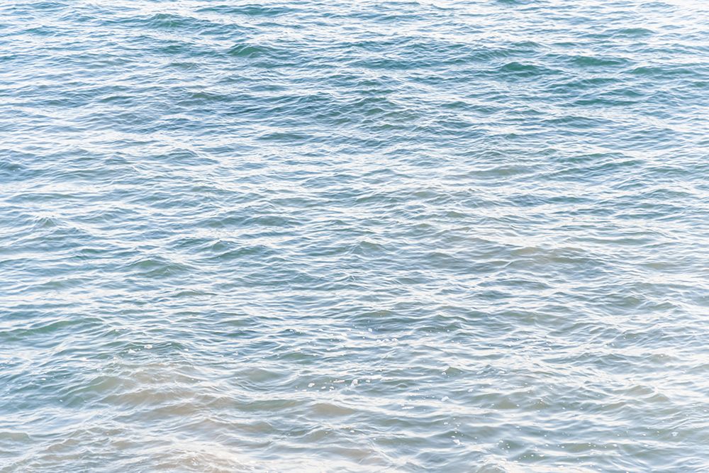 All I Need Is Vitamin Sea art print by Elena Chukhlebova for $57.95 CAD
