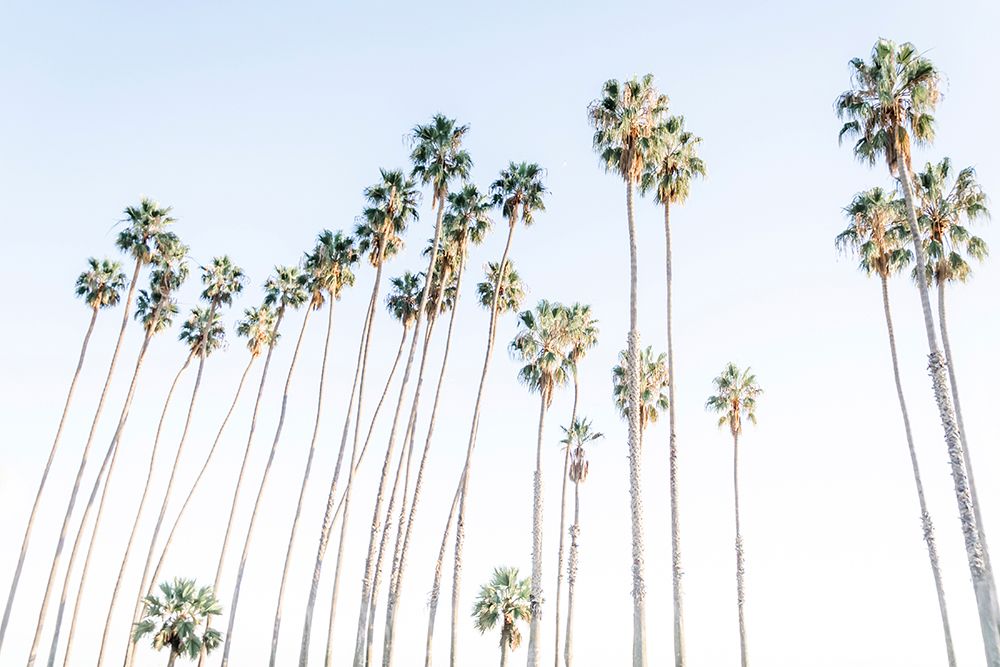 Santa Barbara Vibes art print by Elena Chukhlebova for $57.95 CAD