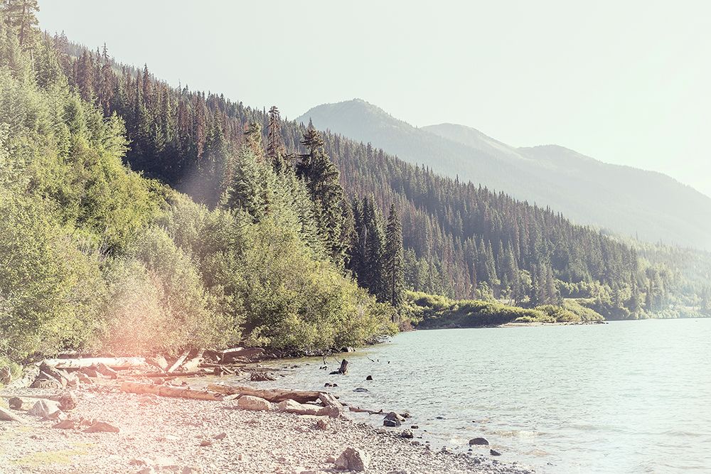 Shoreside Serenity art print by Lynann Colligan for $57.95 CAD