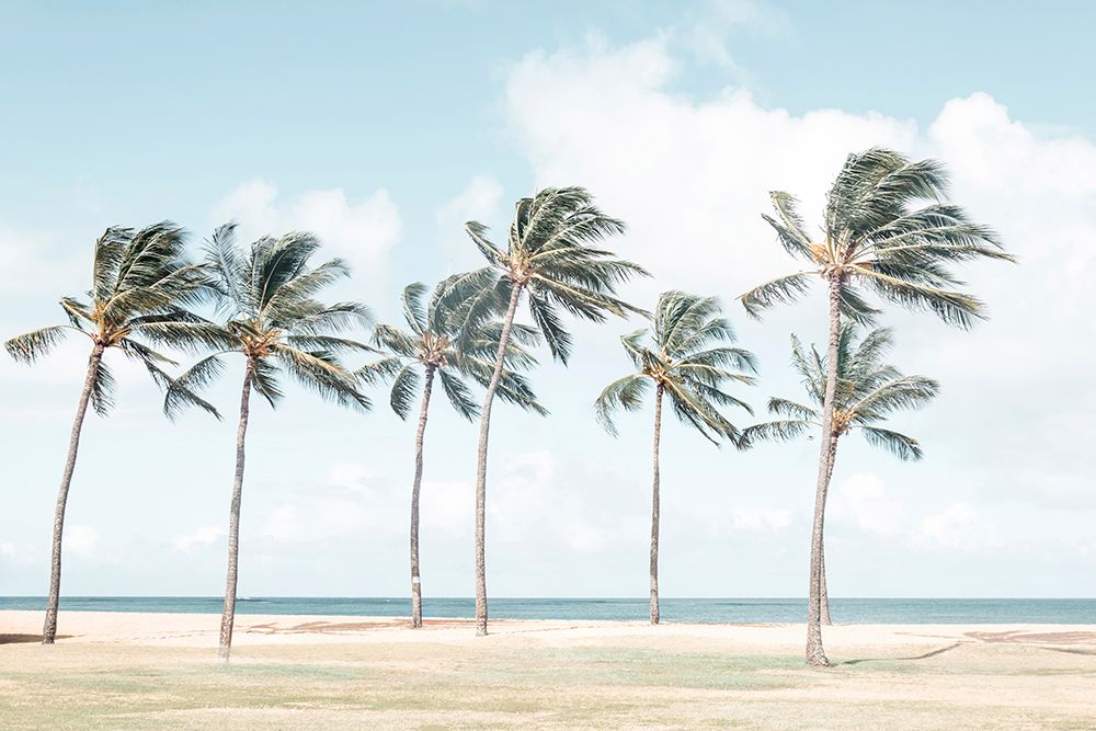 Hawaiian Palm Trees art print by Elena Chukhlebova for $57.95 CAD