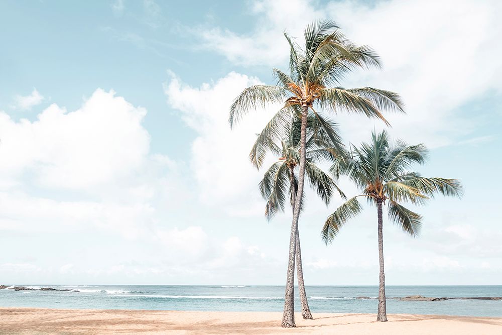 Palm Tree Family art print by Elena Chukhlebova for $57.95 CAD