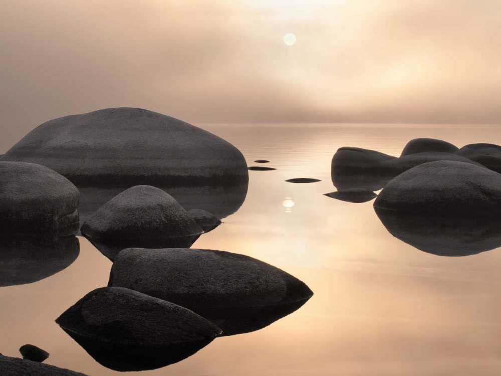 Silver and Gold art print by Elizabeth Carmel for $57.95 CAD
