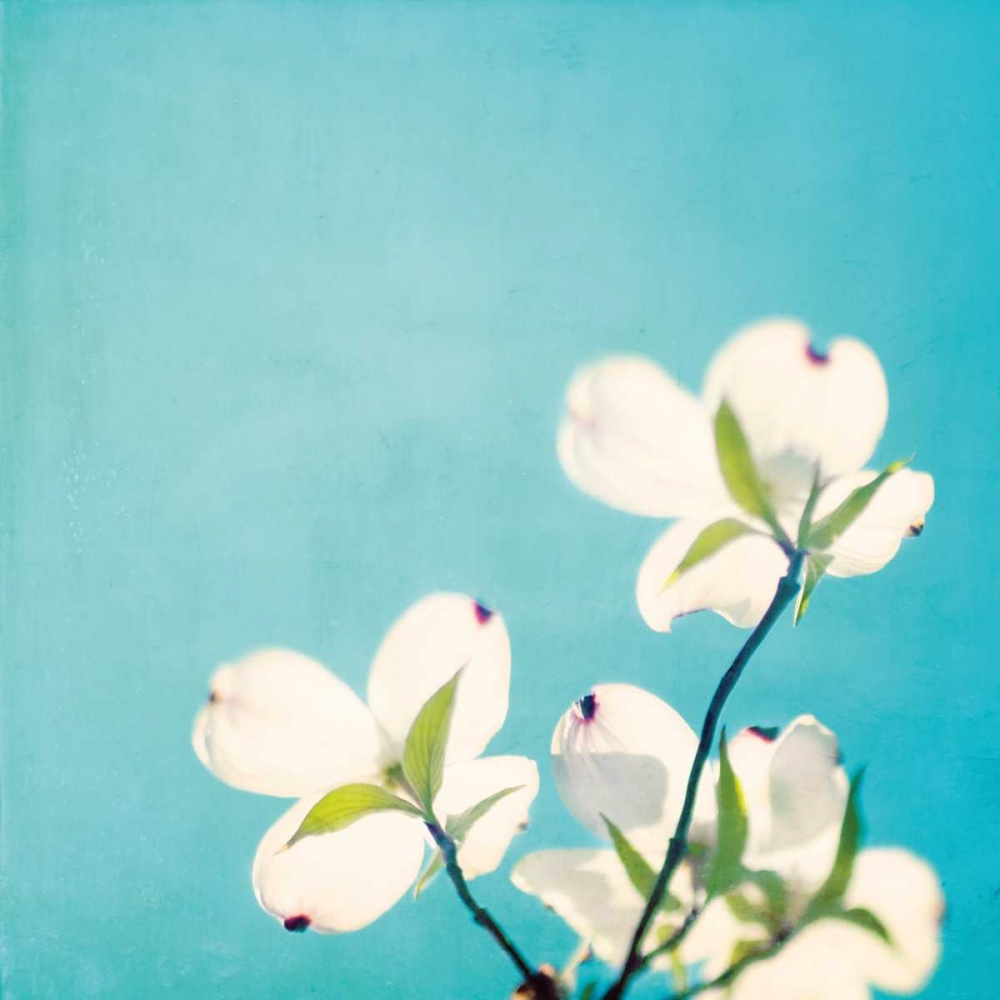 A Life So Colorful art print by Carolyn Cochrane for $57.95 CAD