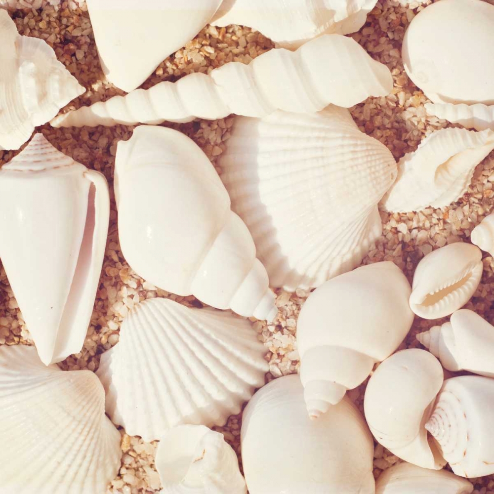 Beachcomber art print by Carolyn Cochrane for $57.95 CAD
