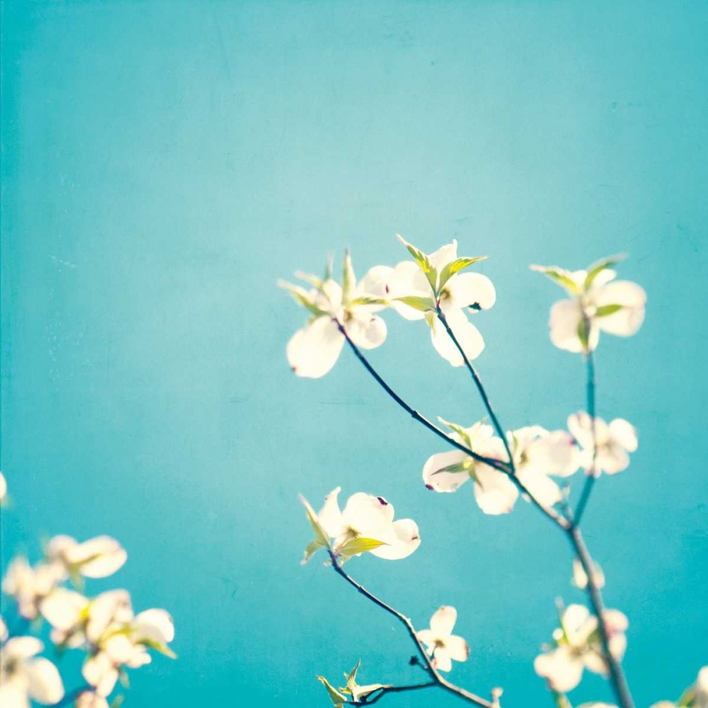 Delicate art print by Carolyn Cochrane for $57.95 CAD