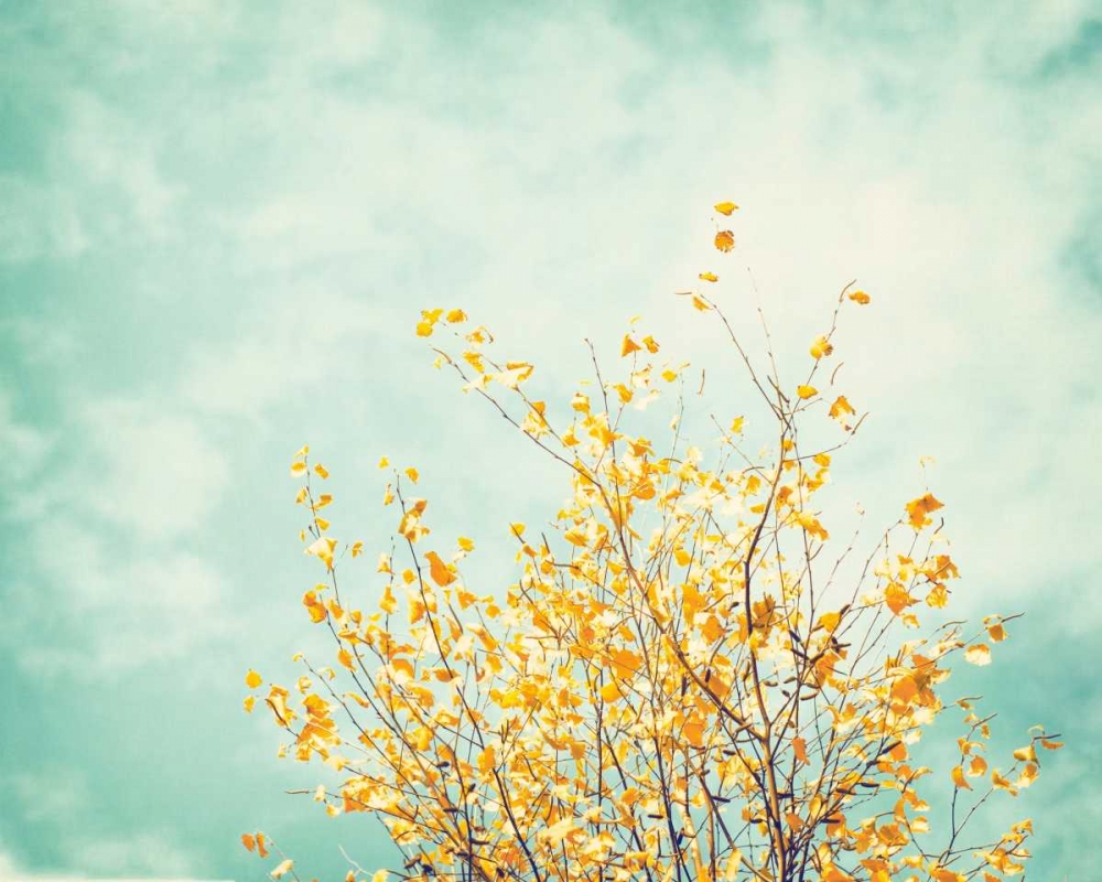 Gentle Whisper art print by Carolyn Cochrane for $57.95 CAD