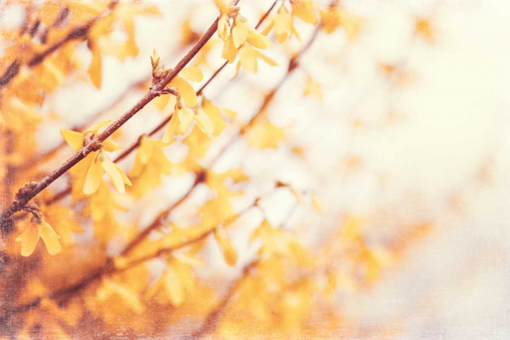 In the Beginning art print by Carolyn Cochrane for $57.95 CAD