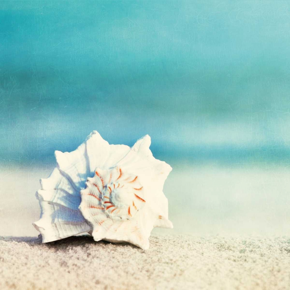 Paradise art print by Carolyn Cochrane for $57.95 CAD