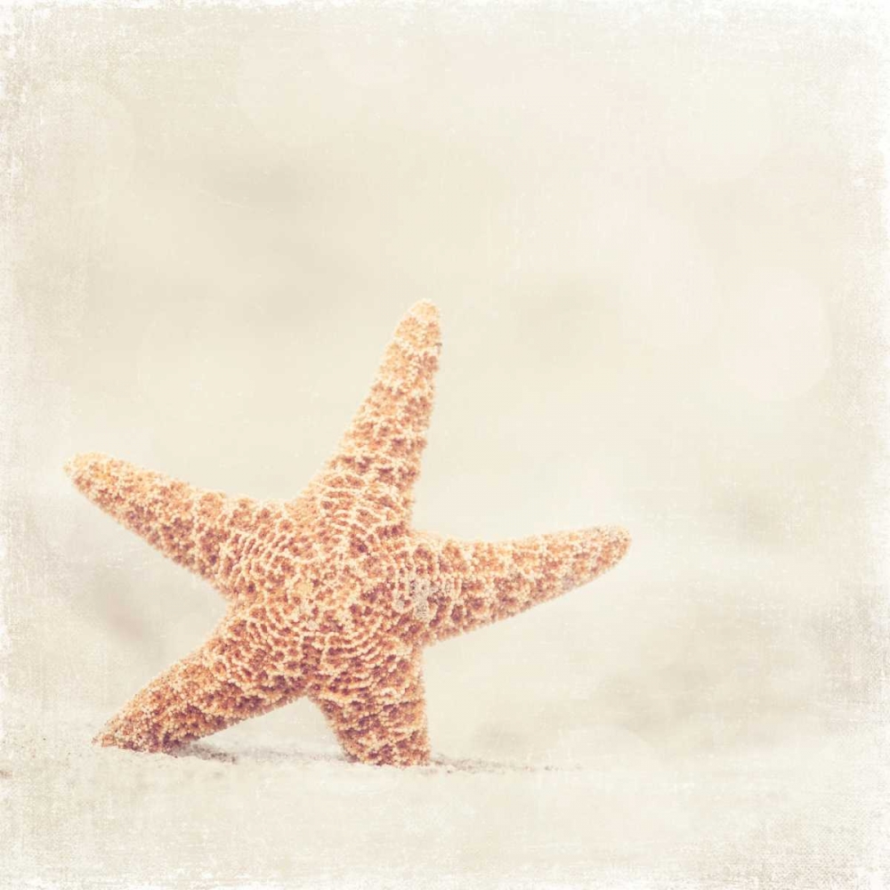Serendipity art print by Carolyn Cochrane for $57.95 CAD