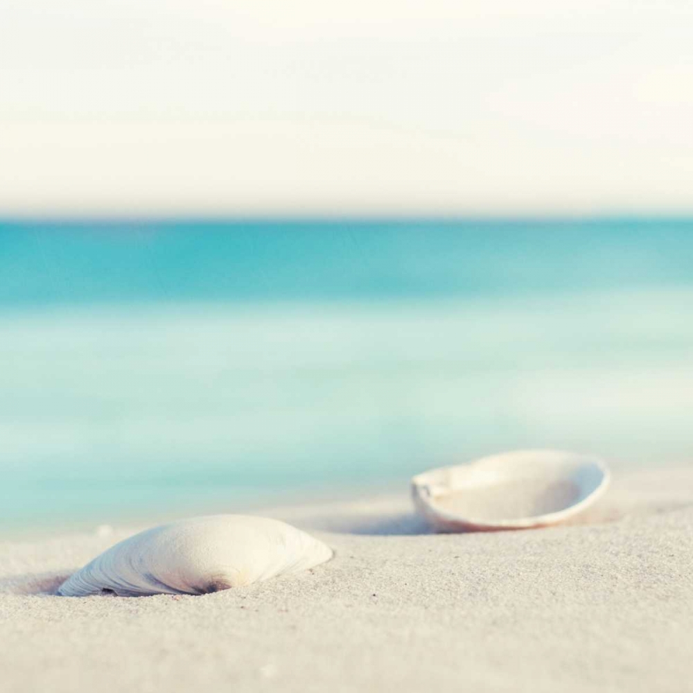 Serenity art print by Carolyn Cochrane for $57.95 CAD