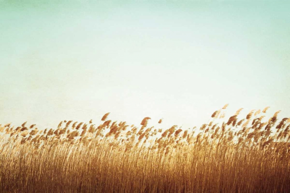 Swaying art print by Carolyn Cochrane for $57.95 CAD
