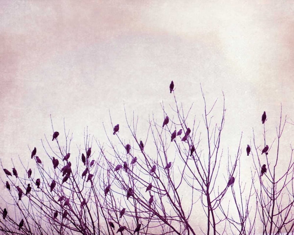 The Pause that Refreshes art print by Carolyn Cochrane for $57.95 CAD
