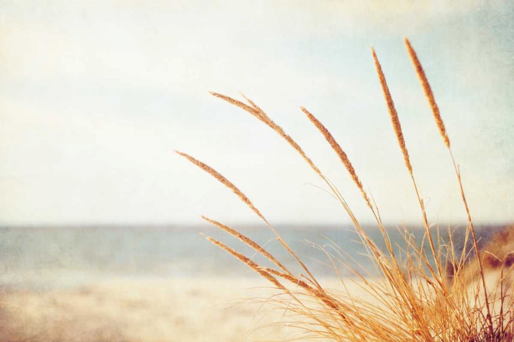 Warm Breeze art print by Carolyn Cochrane for $57.95 CAD