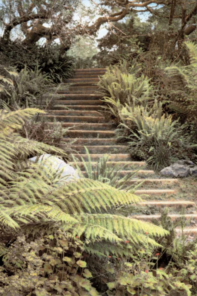 Secret Steps art print by Laura Culver for $57.95 CAD