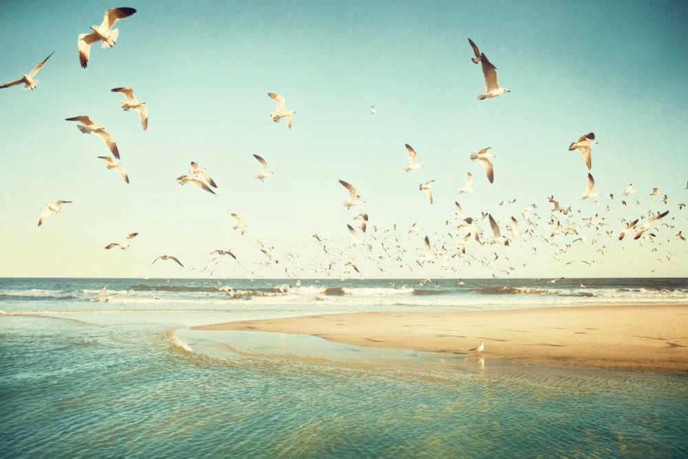 Freedom art print by Carolyn Cochrane for $57.95 CAD