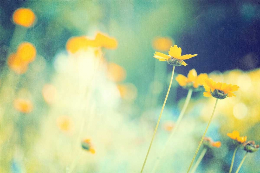 In the Meadow art print by Carolyn Cochrane for $57.95 CAD