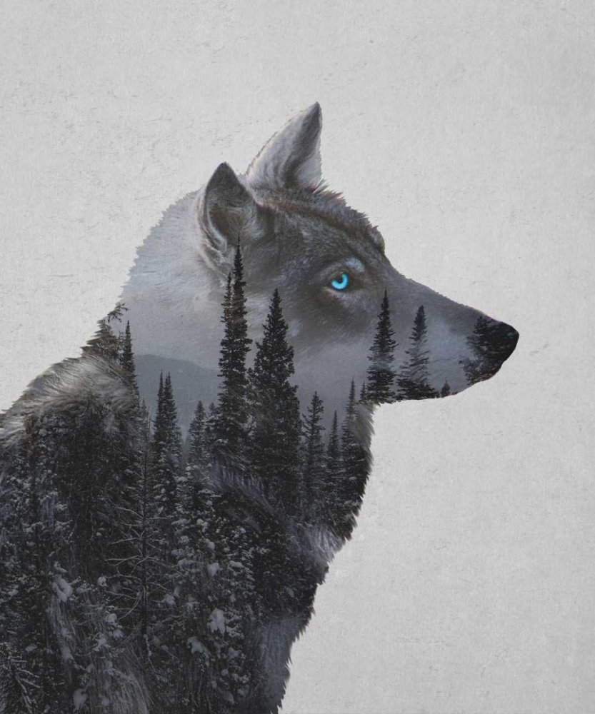 Winter Wolf art print by Davies Babies for $57.95 CAD