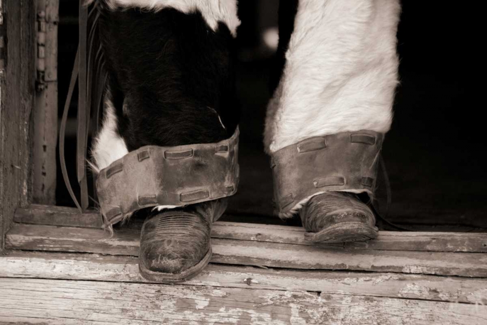 Furry Chaps art print by Lisa Dearing for $57.95 CAD