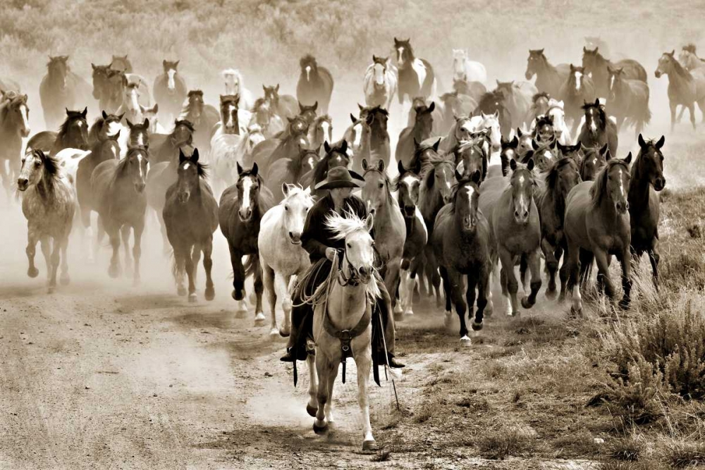 Heading Home art print by Lisa Dearing for $57.95 CAD