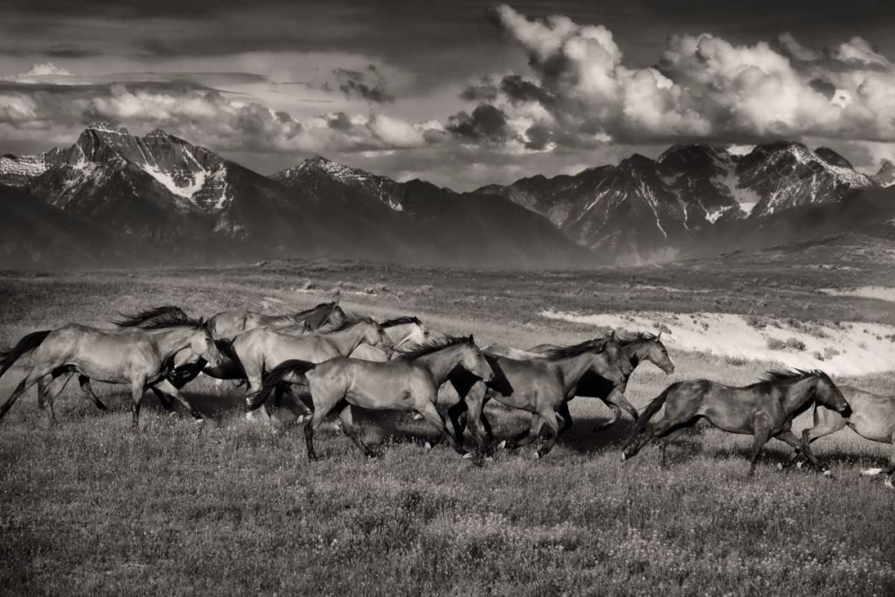 Mountain Range Mavericks art print by Lisa Dearing for $57.95 CAD
