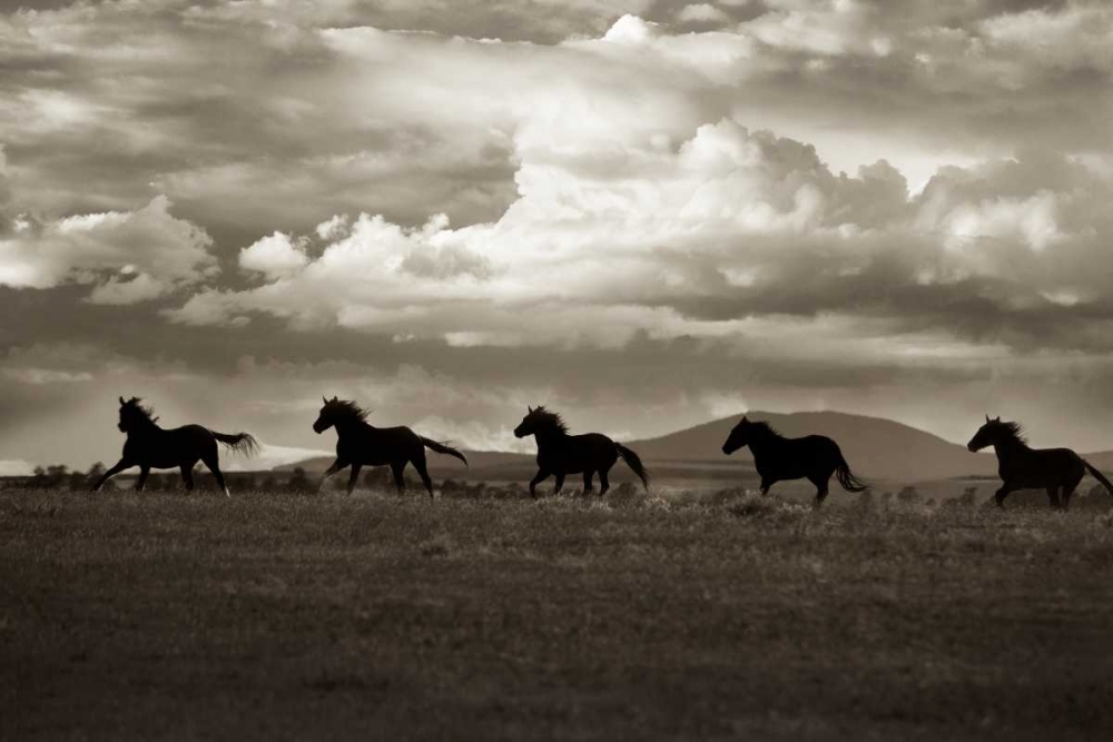 Racing The Clouds art print by Lisa Dearing for $57.95 CAD