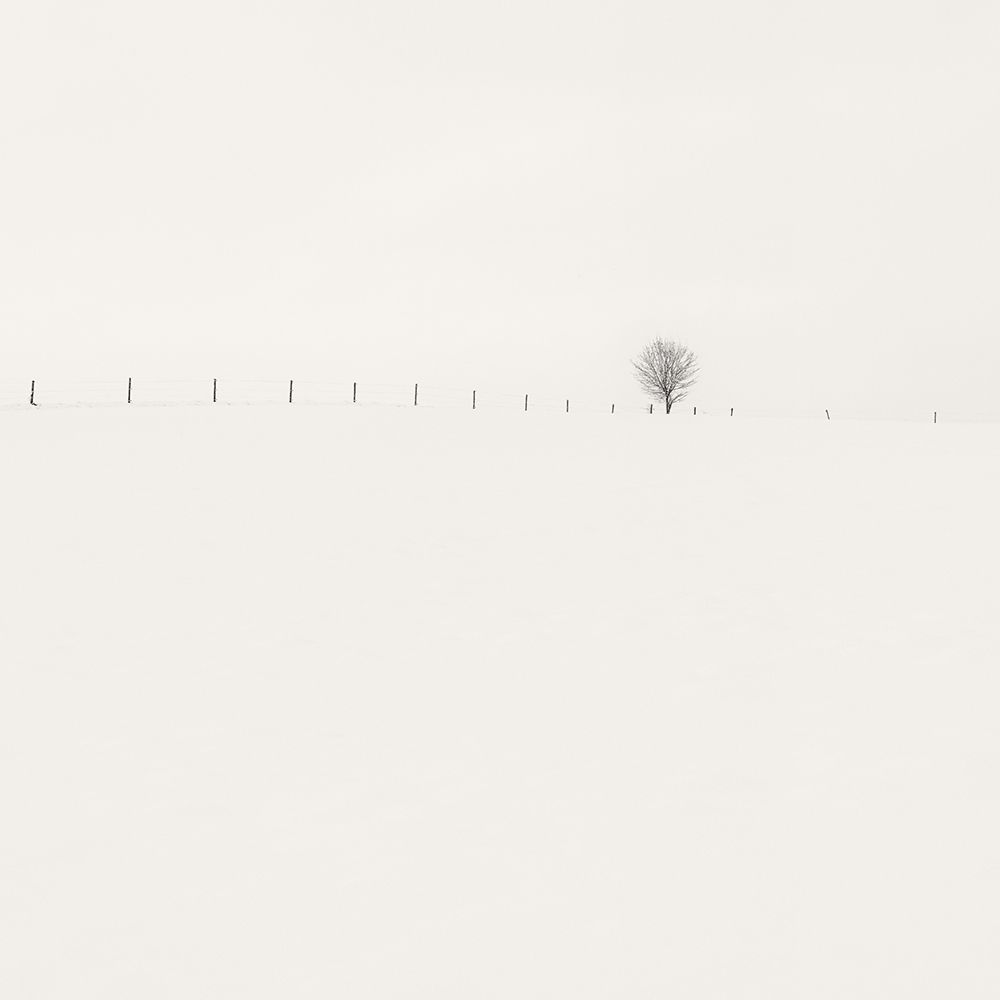 Frozen Landscape art print by Wilco Dragt for $57.95 CAD