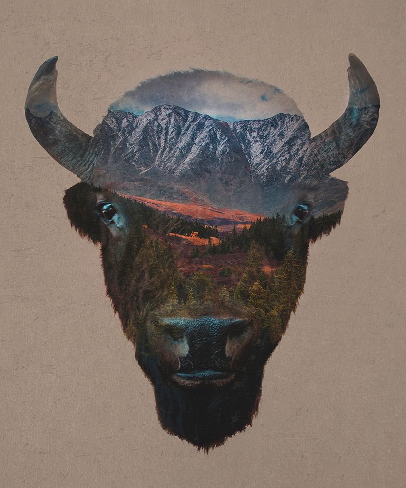 Bison Peak art print by Davies Babies for $57.95 CAD