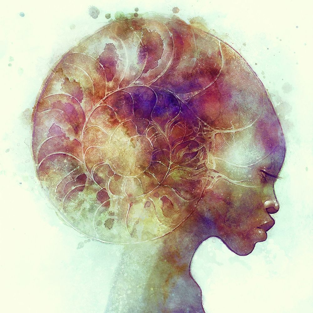 Ammon art print by Anna Dittman for $57.95 CAD