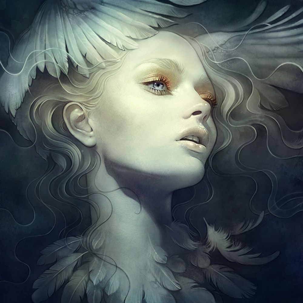 Fly art print by Anna Dittman for $57.95 CAD
