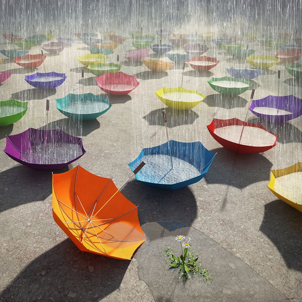 Downpour art print by Cynthia Decker for $57.95 CAD