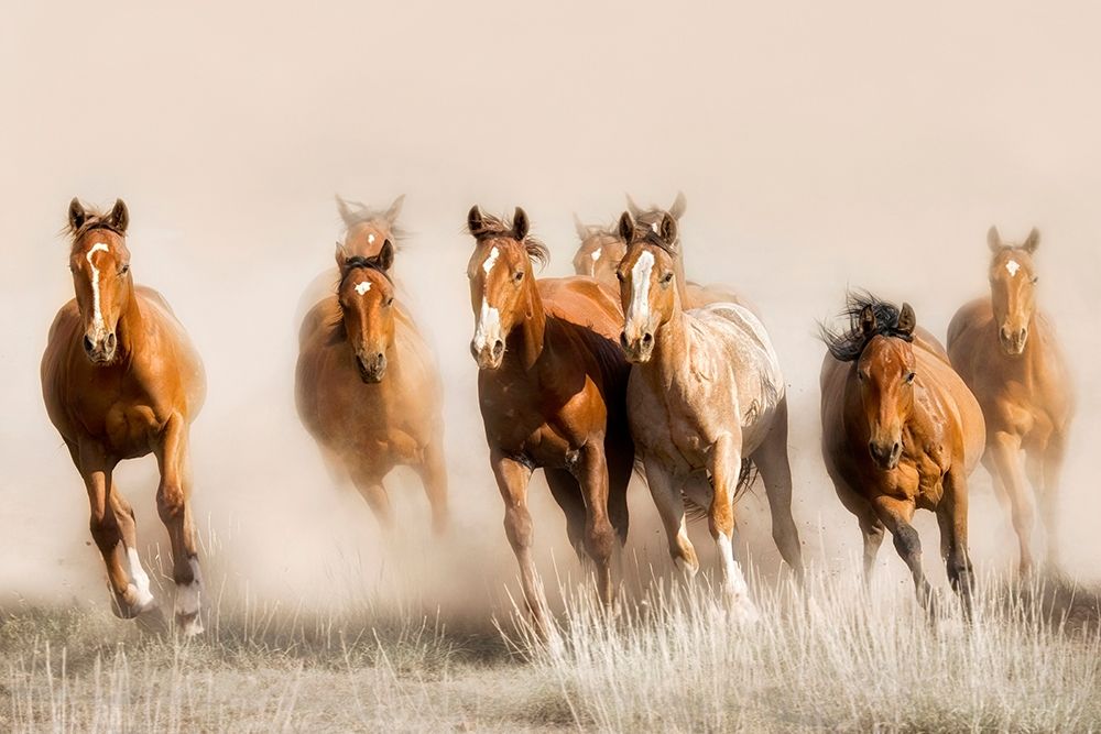 Outlaws art print by Lisa Dearing for $57.95 CAD