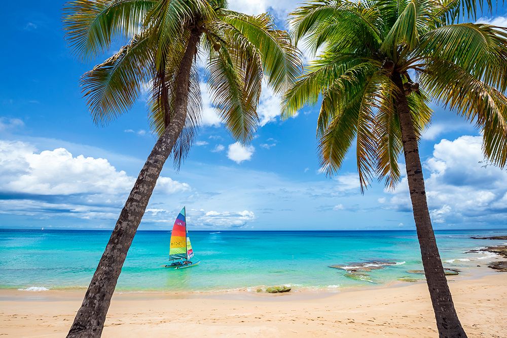 Postcard From Paradise art print by Lizzy Davis for $57.95 CAD