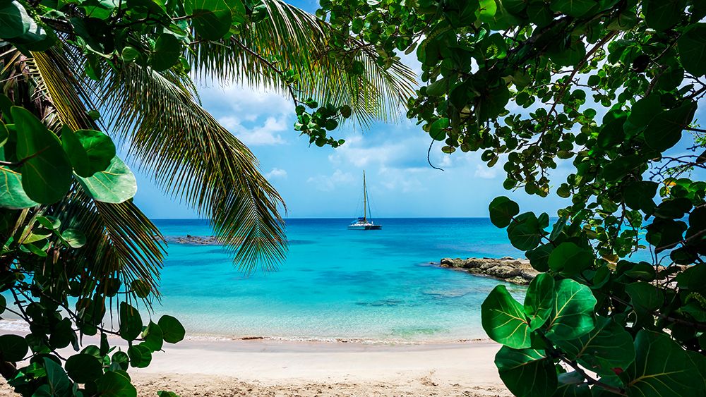 Window to Paradise art print by Lizzy Davis for $57.95 CAD