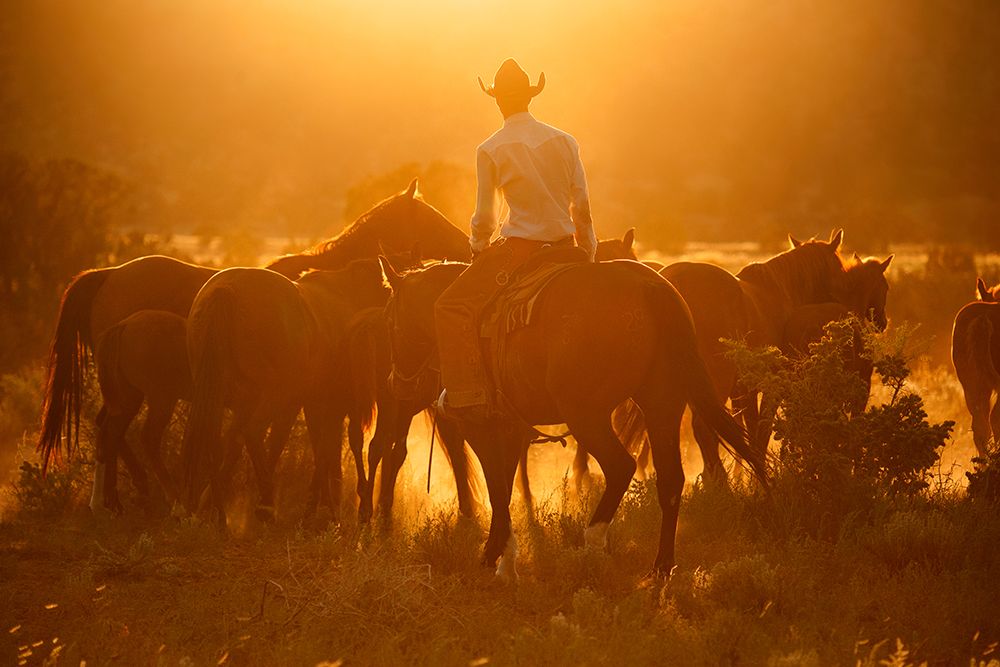 Movin Em Out art print by Lisa Dearing for $57.95 CAD