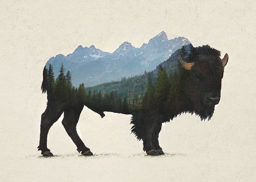 Grand Teton Bison art print by Davies Babies for $57.95 CAD