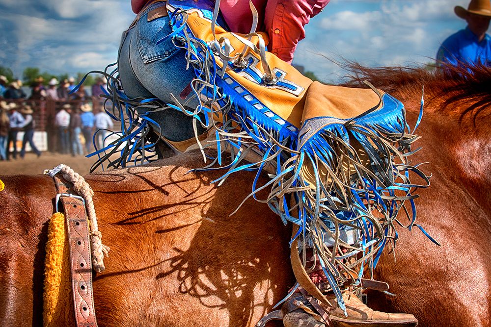 The Bronc Rider art print by Lisa Dearing for $57.95 CAD