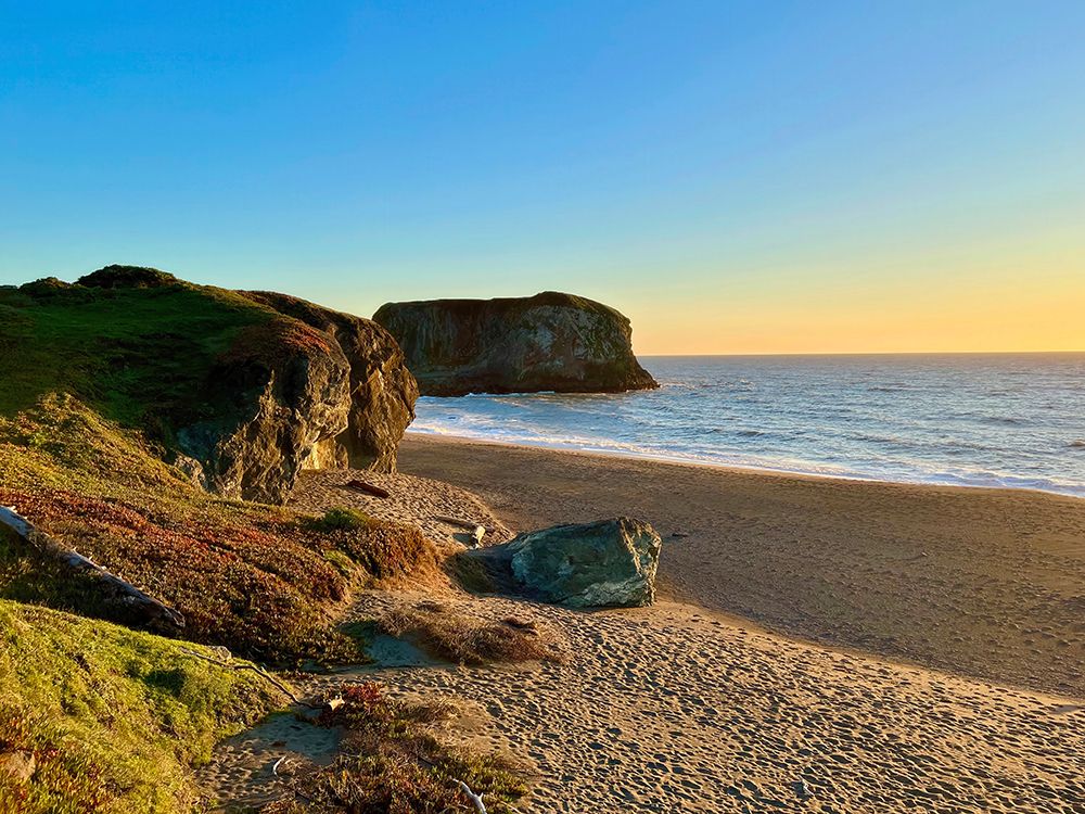 Goat Rock Beach art print by Nicole Dell for $57.95 CAD