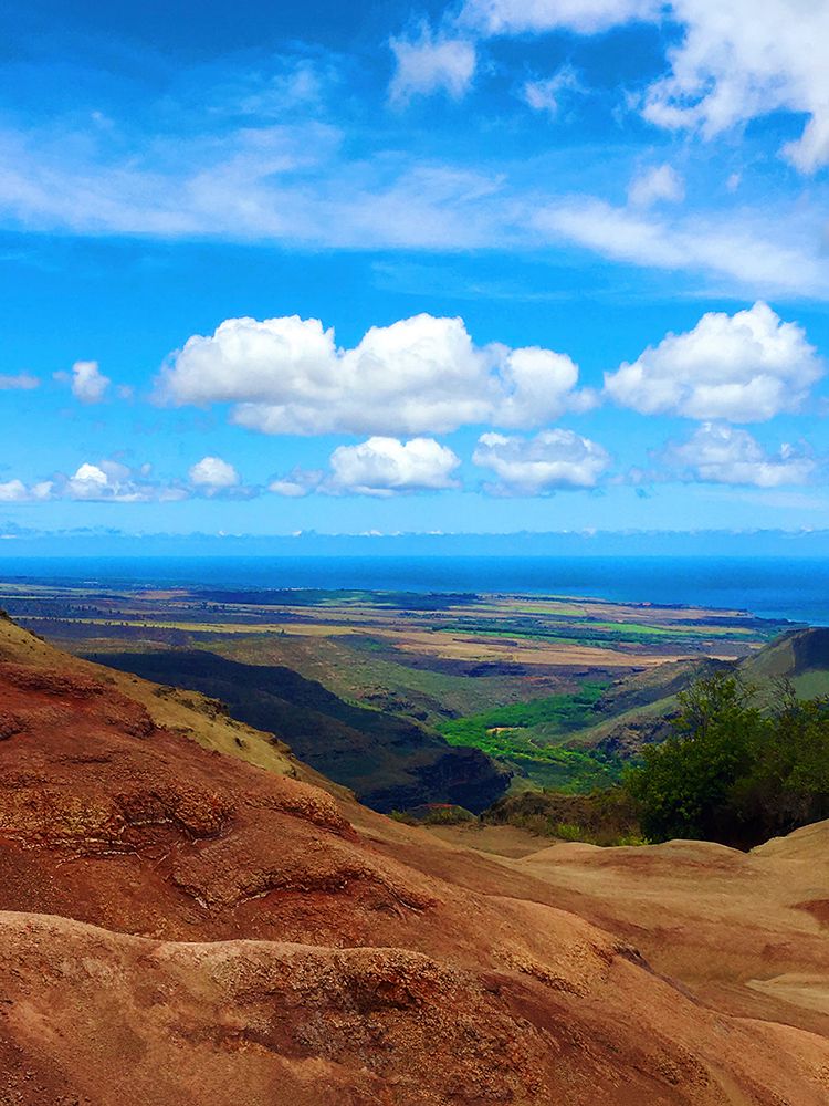 Waimea View art print by Nicole Dell for $57.95 CAD