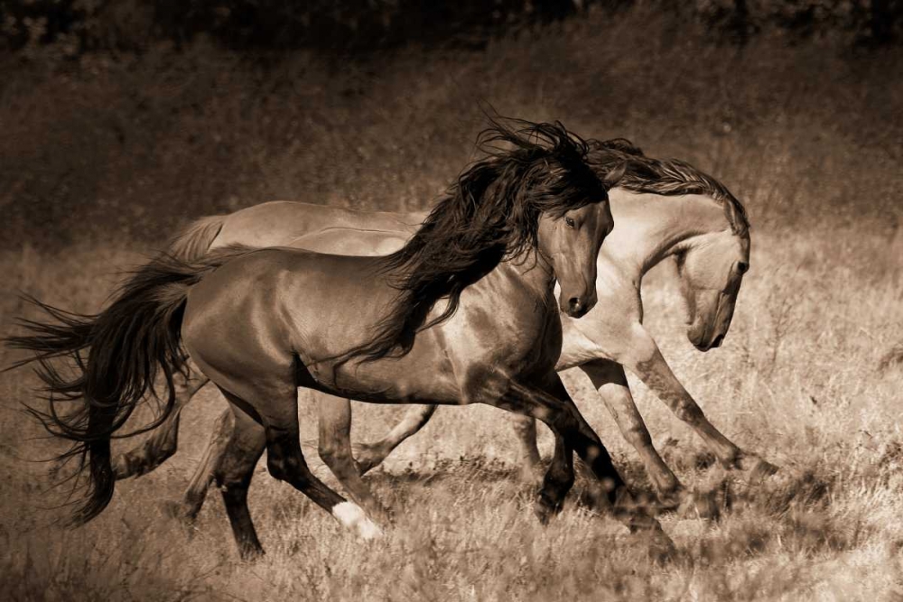 The Dance art print by Lisa Dearing for $57.95 CAD