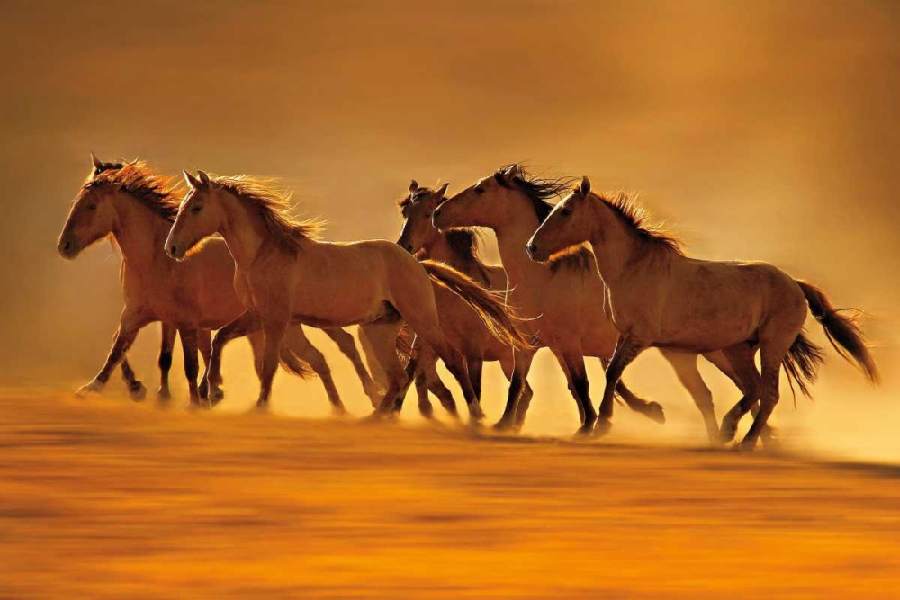 Night Runners art print by Lisa Dearing for $57.95 CAD