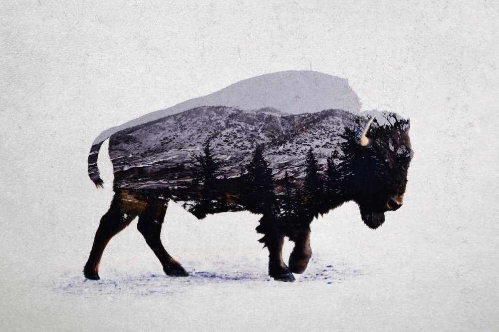 The American Bison art print by Davies Babies for $57.95 CAD