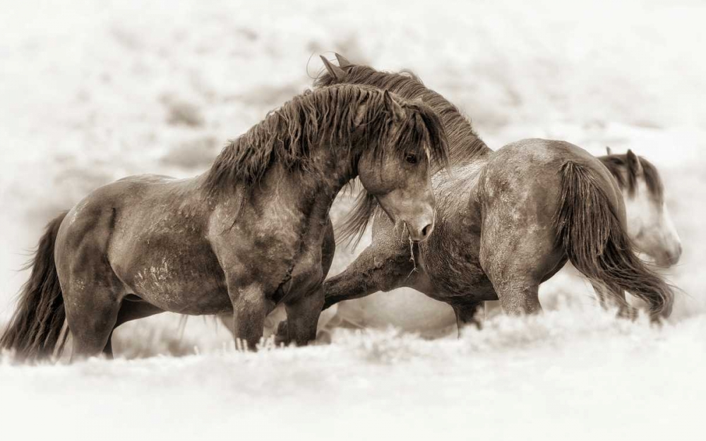 Brothers art print by Lisa Dearing for $57.95 CAD