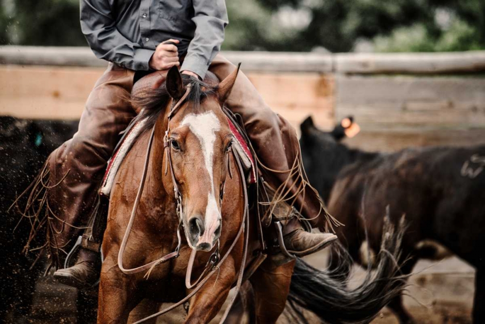 Cutting Horse art print by Lisa Dearing for $57.95 CAD