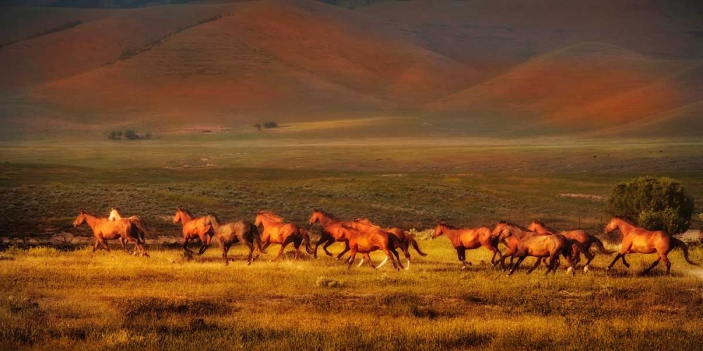 Montana Dreaming art print by Lisa Dearing for $57.95 CAD