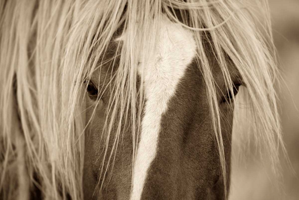 The Blonde art print by Lisa Dearing for $57.95 CAD