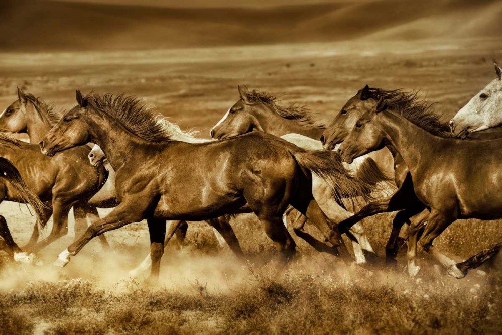 Unbroken art print by Lisa Dearing for $57.95 CAD